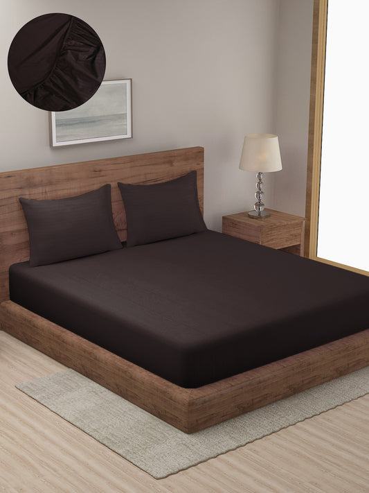 HOSTA HOMES Brown Striped 300 TC Cotton Fitted Bedsheet with Pillow Covers image 0