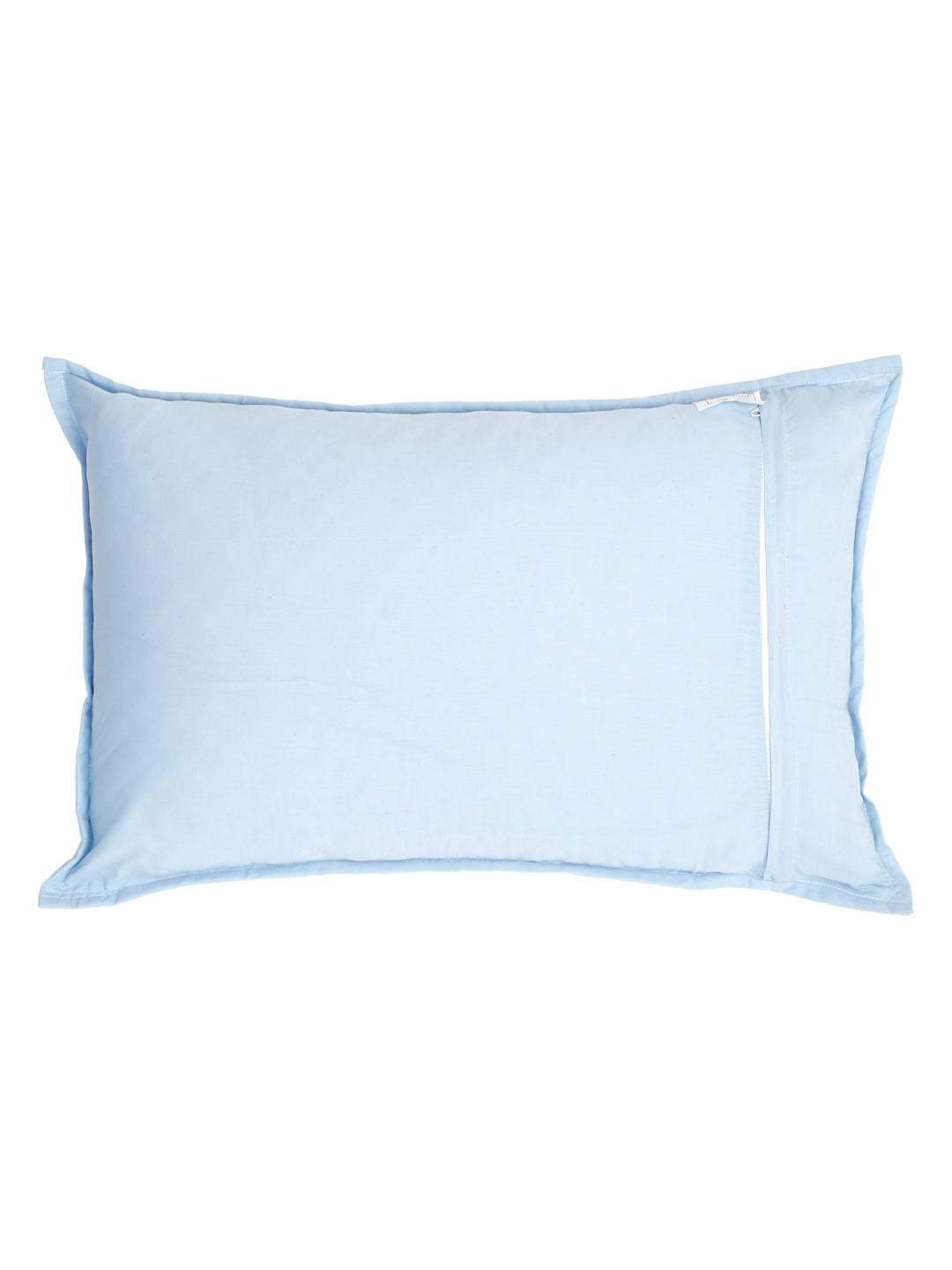 PC31 Aqua